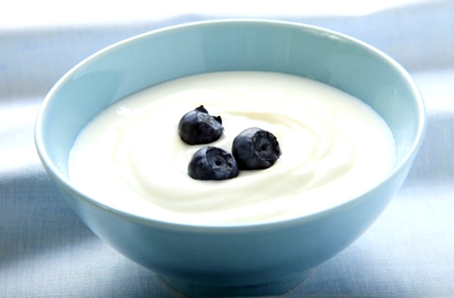 yogurt630